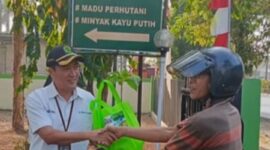 Oplus_16908288